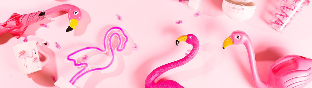 Flamingo Flamingo
