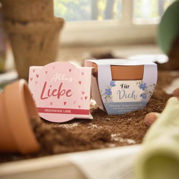 Pflanzset Mini, Alles Liebe