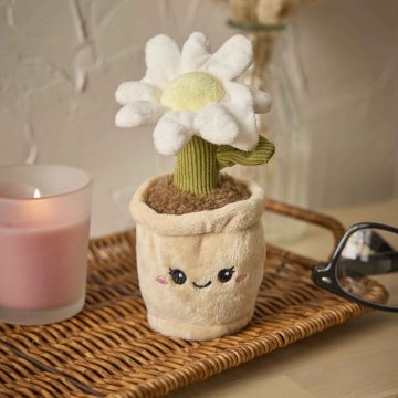 Deko-Topfpflanze mit Gesicht, Margerite, 17 cm