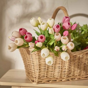 Strauß Tulpe, 5 Blüten, weiß, 30 cm