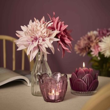 Dahlie Herbst, rosa/lila, 27 cm