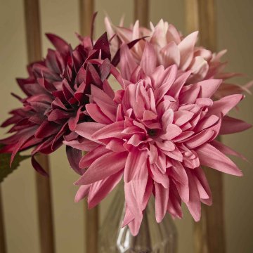 Dahlie Herbst, dunkelrosa, 27 cm