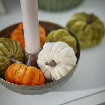 8er Set Kürbis Samt in Tüte, creme/orange/grün