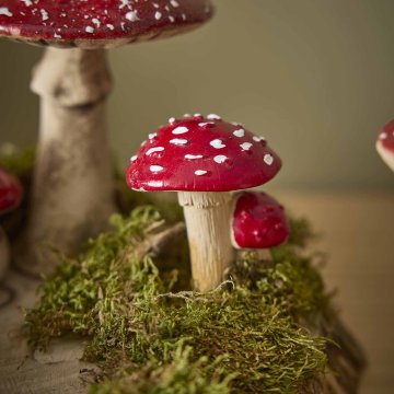 Pilz-Dekoration mit Moos, rund/zwei, 7 cm