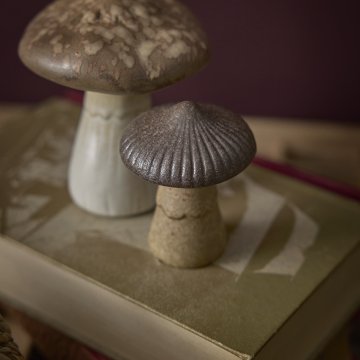 Pilz Sprenkel, braun, 7 cm