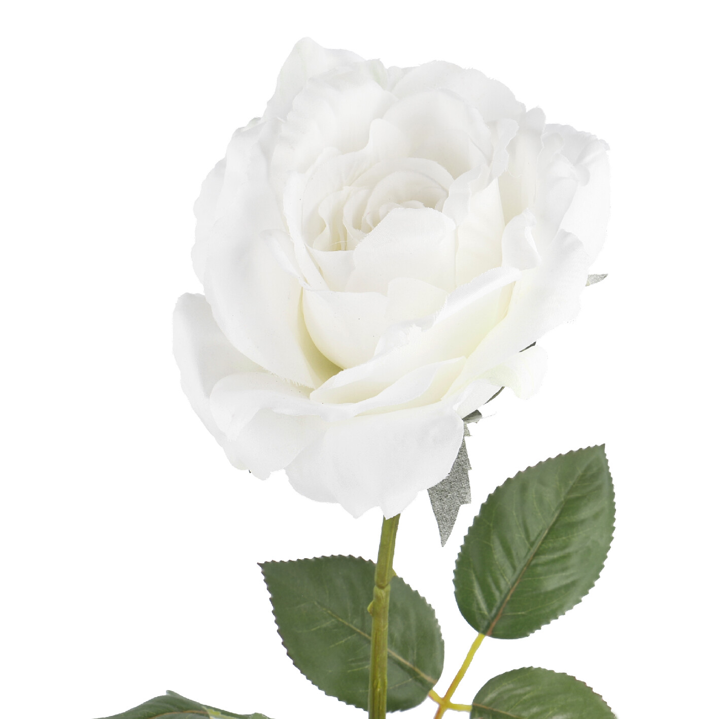 Rose Alice, weiß, 70 cm