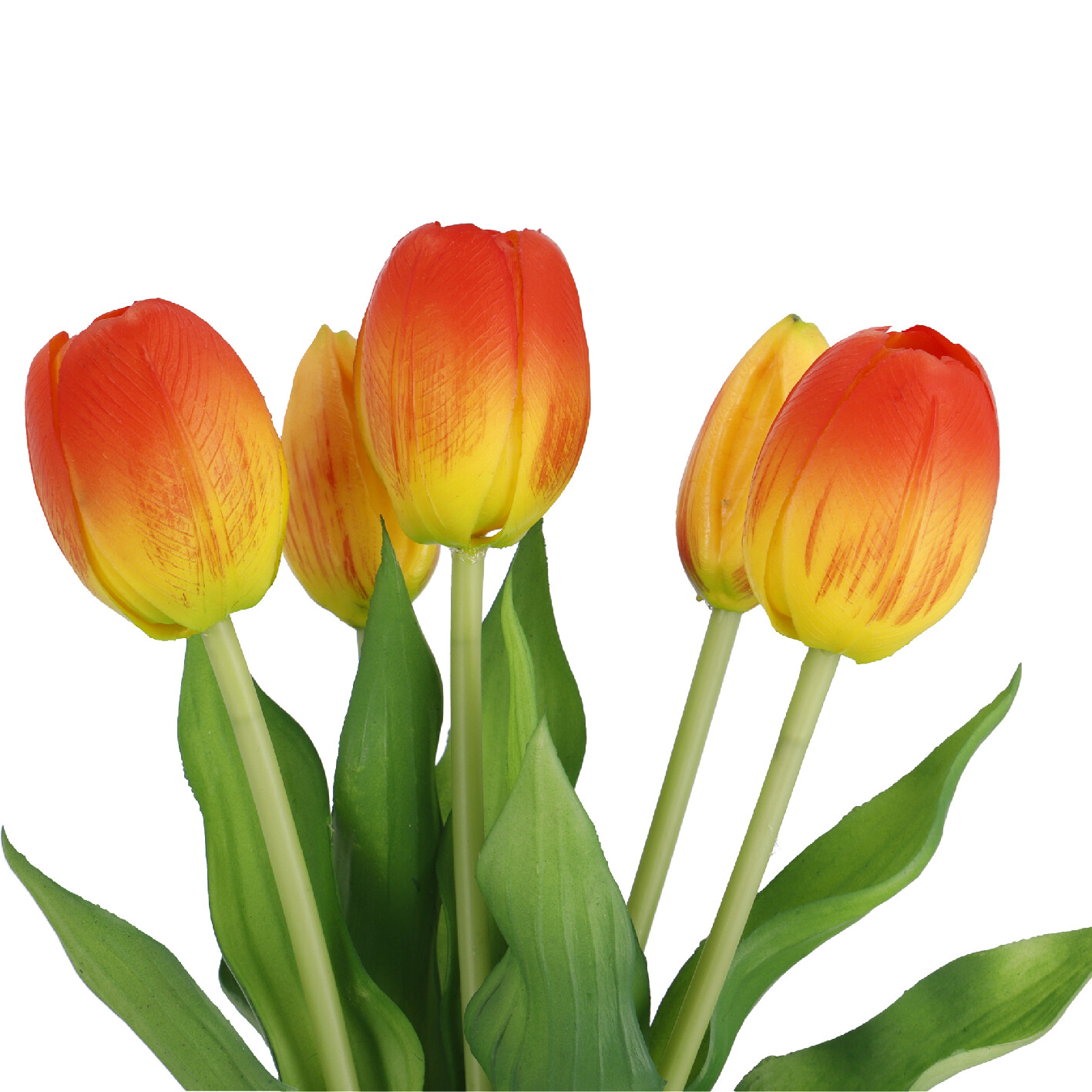 Strauß Tulpe, 5 Blüten, orange, 30 cm