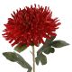 Chrysantheme Edel, dunkelorange, 76 cm