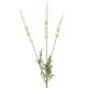 Lavendel, 3 Blüten, weiß, 66 cm