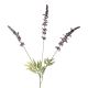 Lavendel, 3 Blüten, lila, 66 cm