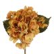 Hortensie Herbst, orange, 46 cm