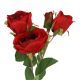 Rose Alina, 3 Blüten/rot, 38 cm