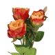 Rose Alina, 3 Blüten/orange, 38 cm