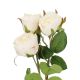 Rose Alina, 3 Blüten/weiß, 38 cm