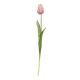 Tulpe Edel, hellrosa, 48 cm