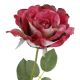 Rose Alice, dunkelpink, 70 cm