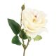 Rose Cornwall, creme, 44 cm