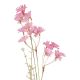 Zweig Wildblumen, Kamille/pink, 45 cm