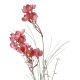 Wildblumenzweig Beeren, Blumen/dunkelrosa, 75 cm
