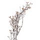 Wildblumenzweig Beeren, Mini/hellbraun, 75 cm
