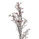 Wildblumenzweig Beeren, Mini/dunkelrot, 75 cm