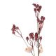 Wildblumenzweig Beeren, dunkelrot, 75 cm