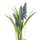 Deko-Stecker Frühblüher, Traubenhyazinthe/blau, 22 cm