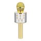 Karaoke Mikrofon, gold, 23 cm