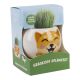 Graskopf Tier, Shiba-inu