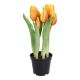 Tulpen im Topf, orange, 25 cm
