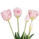Strauß Papageientulpe, rosa, 41 cm