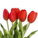 Strauß Tulpe, 5 Blüten, rot, 30 cm