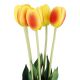 Tulpenstrauß 5 Blüten, gelb/orange, 40 cm