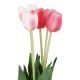 Tulpenstrauß 5 Blüten, hellrosa/pink, 40 cm