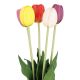 Tulpenstrauß 5 Blüten, bunt, 40 cm