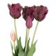 Strauß Papageientulpe, lila, 41 cm