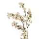 Zweig Minibeeren, creme, 70 cm