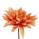 Dahlie Herbst, orange, 27 cm