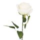 Rose Florence, creme, 51 cm