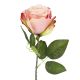 Rose Florence, pink, 51 cm