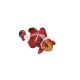Figur See, Clownfisch, 10 cm