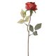 Rose Leonore, pink, 38 cm