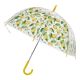 Regenschirm Transparent, Zitrone