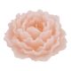 Kerze Rose, rosa, 12 cm