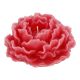 Kerze Rose, weinrot, 12 cm