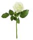 Rose, 30 cm, weiß