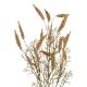 Rispenzweig Herbst, orange, 80 cm
