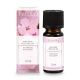 Duftöl Wildkirsche, 10 ml