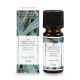 Duftöl Eukalyptus, 10 ml