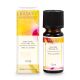Duftöl Vanilla & Berries, 10 ml